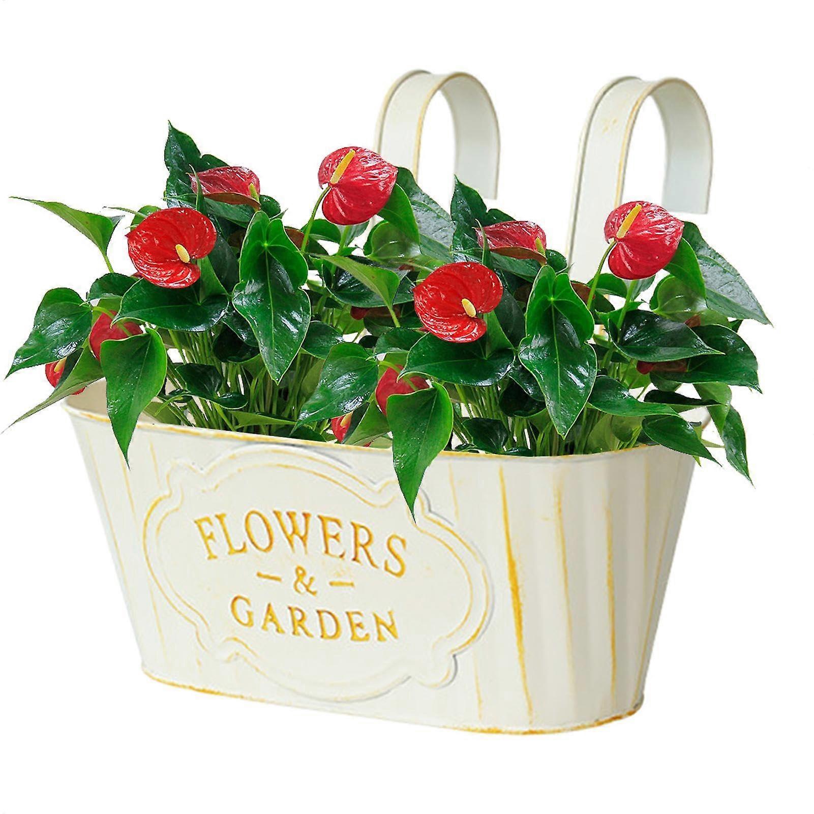 Railing Planter with Efficient Drainage, Durable Iron Hanging Flower Box for Balcony or Garden