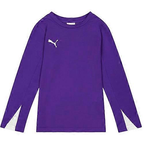 Puma Childrens/Kids Team Performance Long-Sleeved Training Top