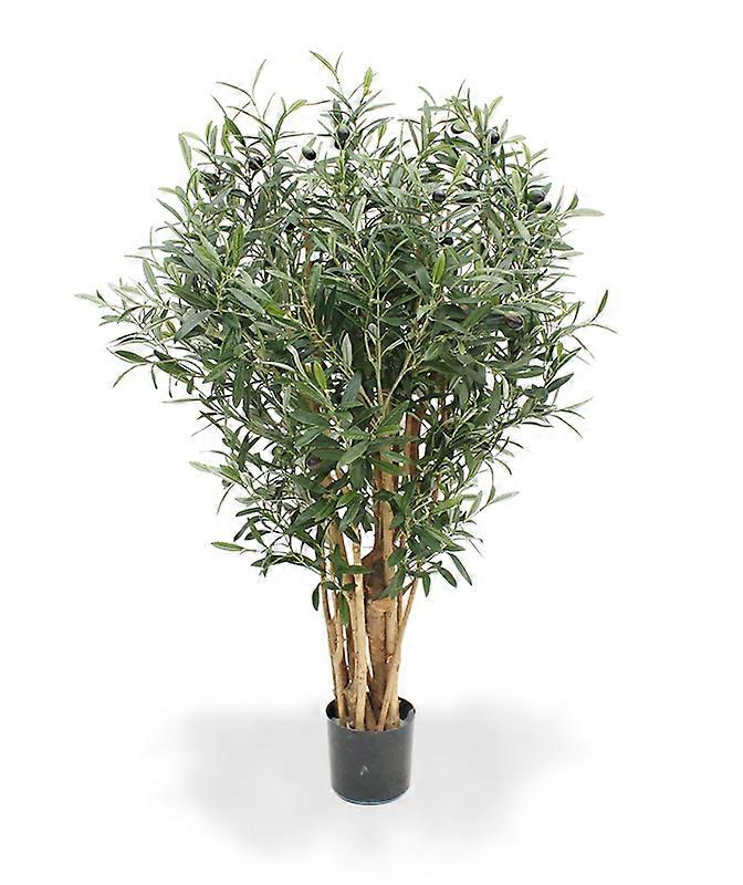 Olive tree (100 cm)