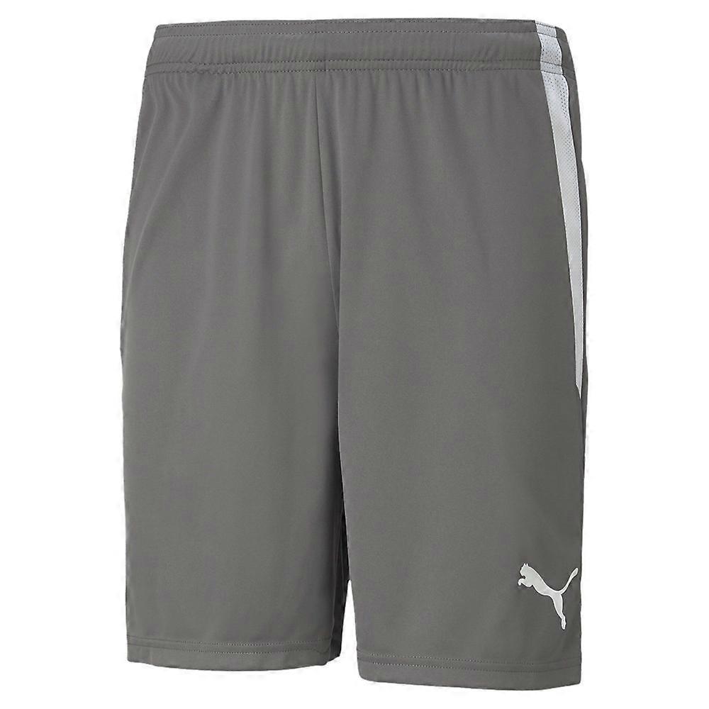 Pantalón Puma Teamliga 70492413