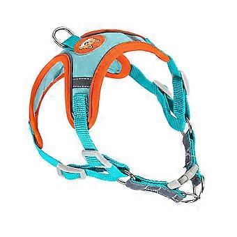 Dog Harness and Leash Set Adjustable Breathable Reflective Stripe for Outdoor Walking Lake Blue L