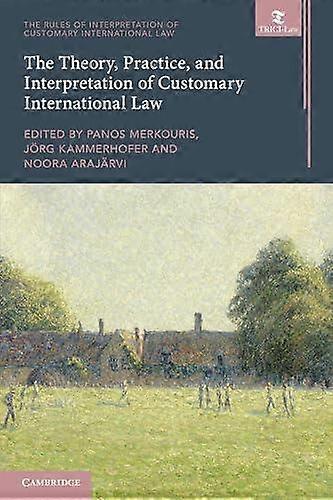 The Theory Practice And Interpretation Of Customary International Law Paperback