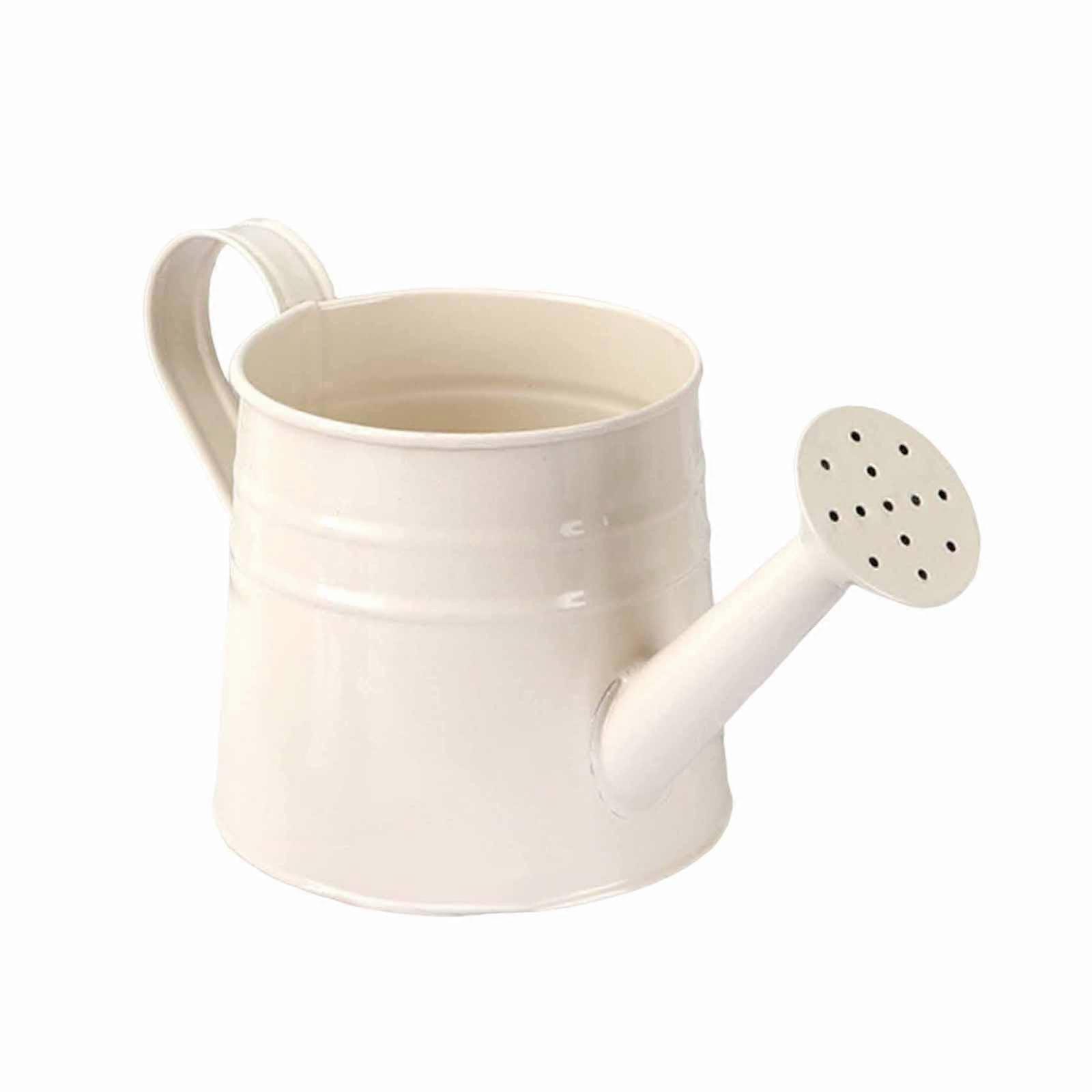 Metal Mini Vandkande Planter Blomsterbeholder Rustik Multipurpose 9