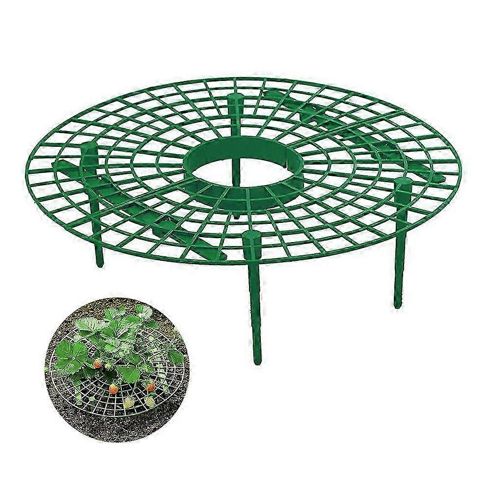 Strawberry Growing Support Practical Strawberry Rack Plant Climbing ...