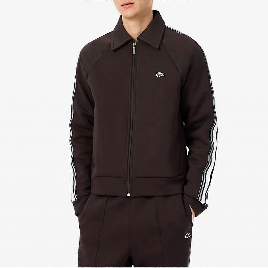 Lacoste collegepaidat