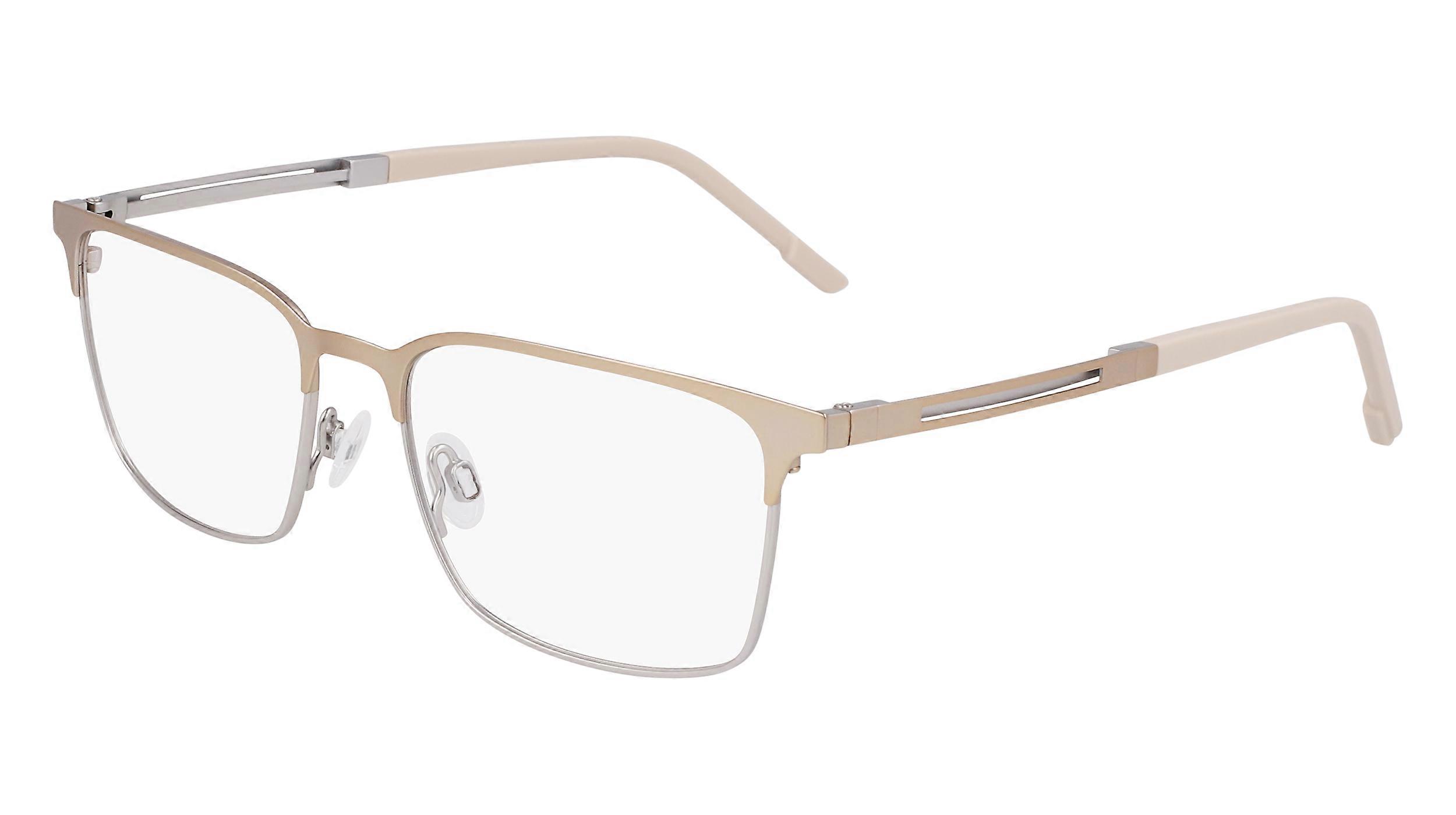 Eyewear Frames FLEXON FLEXON E1152 712 MATTE LIGHT GOLD 53/17/145 MALE