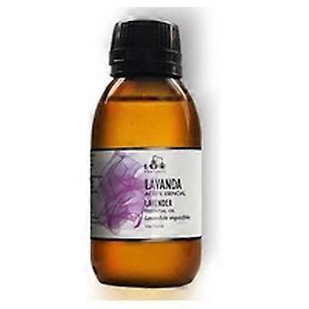 Lavender Essential Oil 100 ml of essential oil (Lavender)