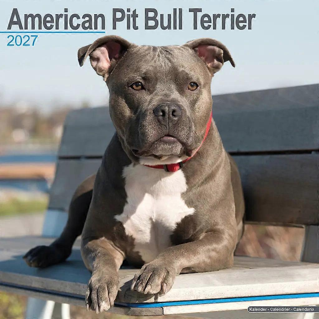 Red Robin Red Robin American Pit Bull Terrier Calendar 2026