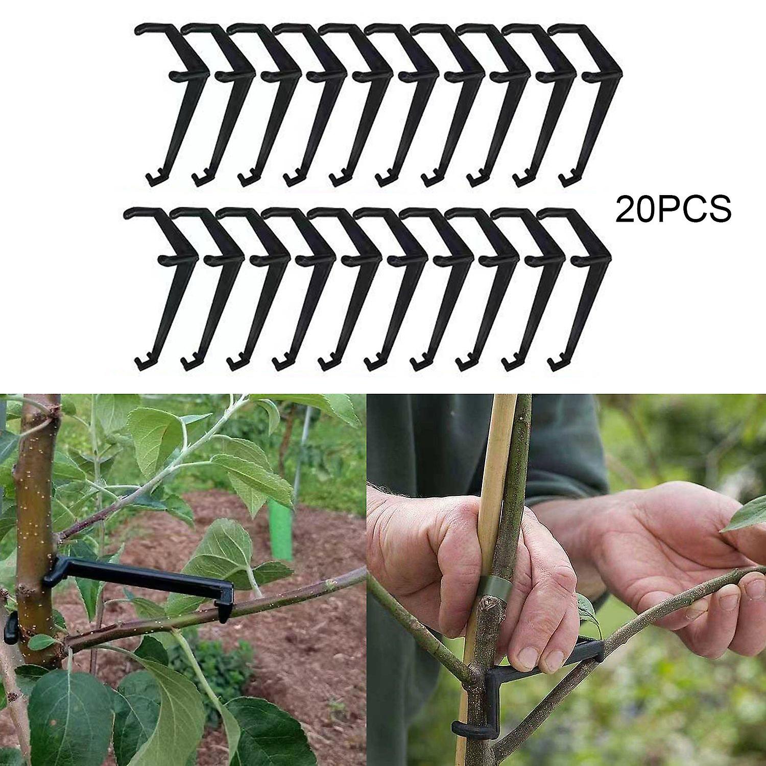 20PCS Fruit Tree Branch Spreader for Better Airflow and Increased Yield