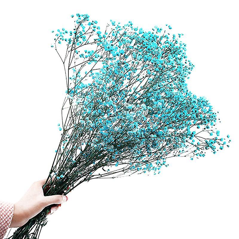 1pcs Preserved Flower Gift