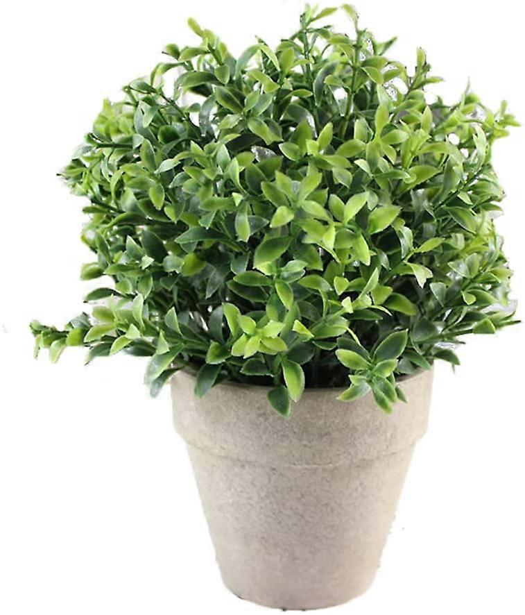 Mesterséges pozsgás növények - virágcserép - bonsai - otthonra, irodába, szobadekorációra (C)