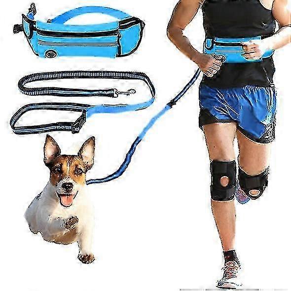 Course mains libres Bungee Dog Leash