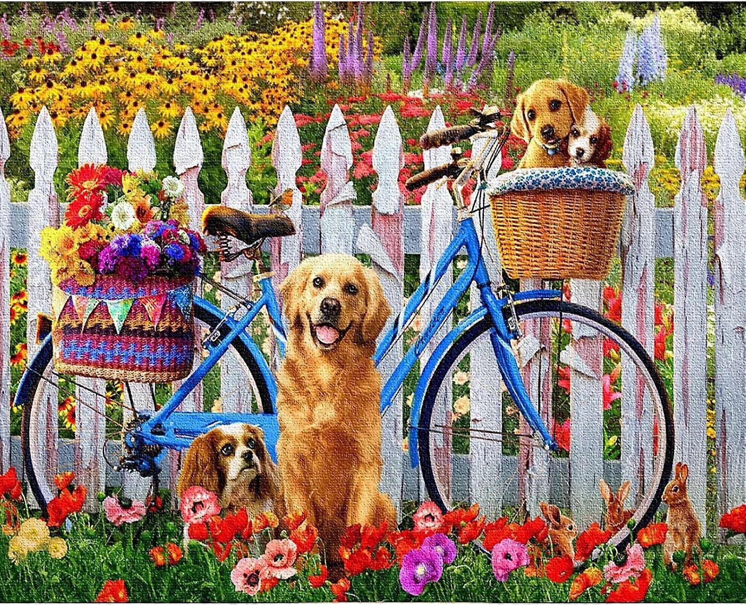 Malen nach Zahlen für Erwachsene oder Kinder - Ölgemälde nach Zahlen Set für Anfänger - Bunte Leinwandmalerei - Wandmalerei mit Pinseln - 40 x 50 cm D