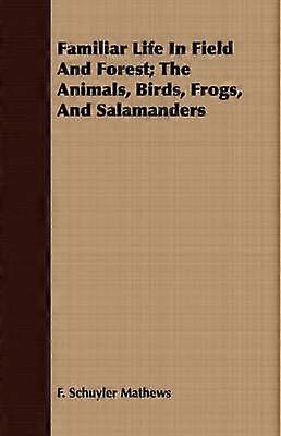 Familiar Life In Field And Forest; The Animals Birds Frogs And Salamanders