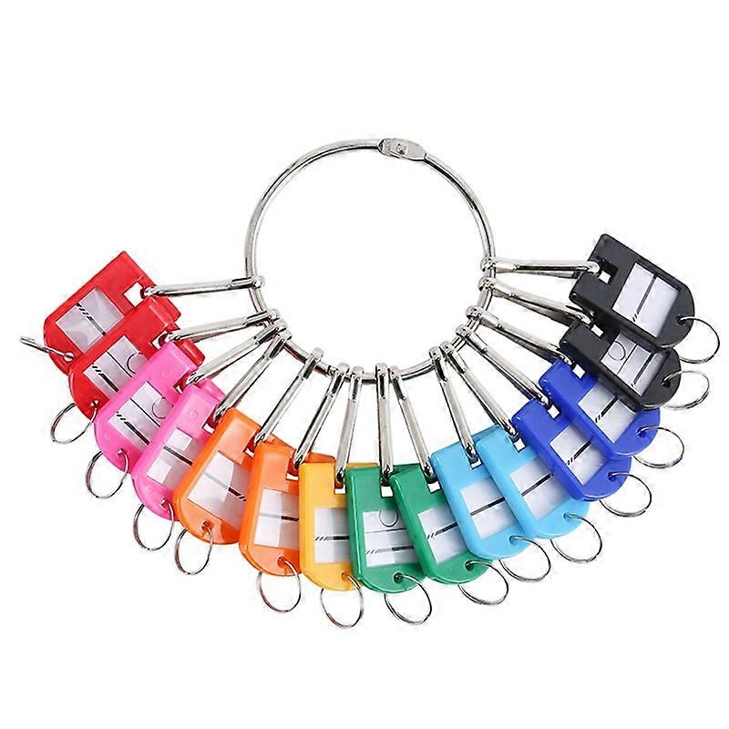 Portable Metal Ring Key Organizer with Spring Hooks & Key Tags with Ring and Label Window