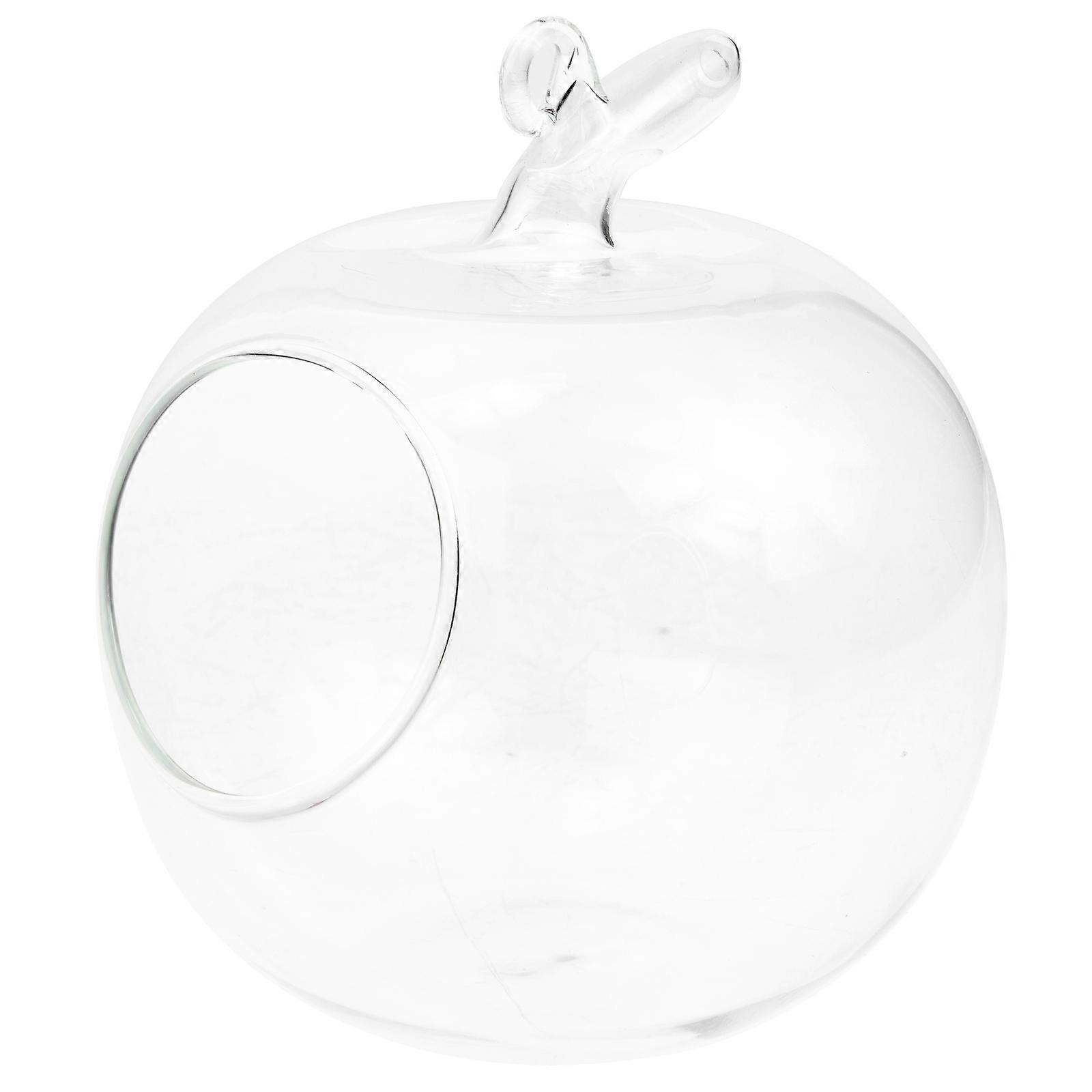 Terrarium Decor Vase, Practical Glass Bottle for Creating Fresh Home Landscapes