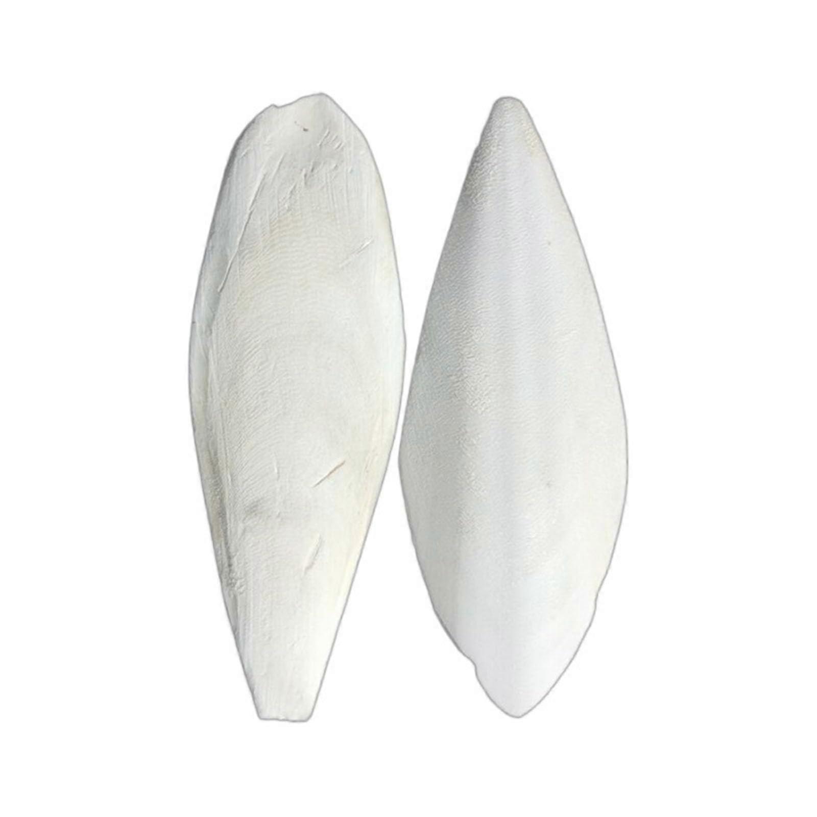 Tintenfischknochen für Vögel 9-12 cm - Natürlicher Kauspielzeug für Papageien, Knochen-Spielzeug Weiß 7 cm