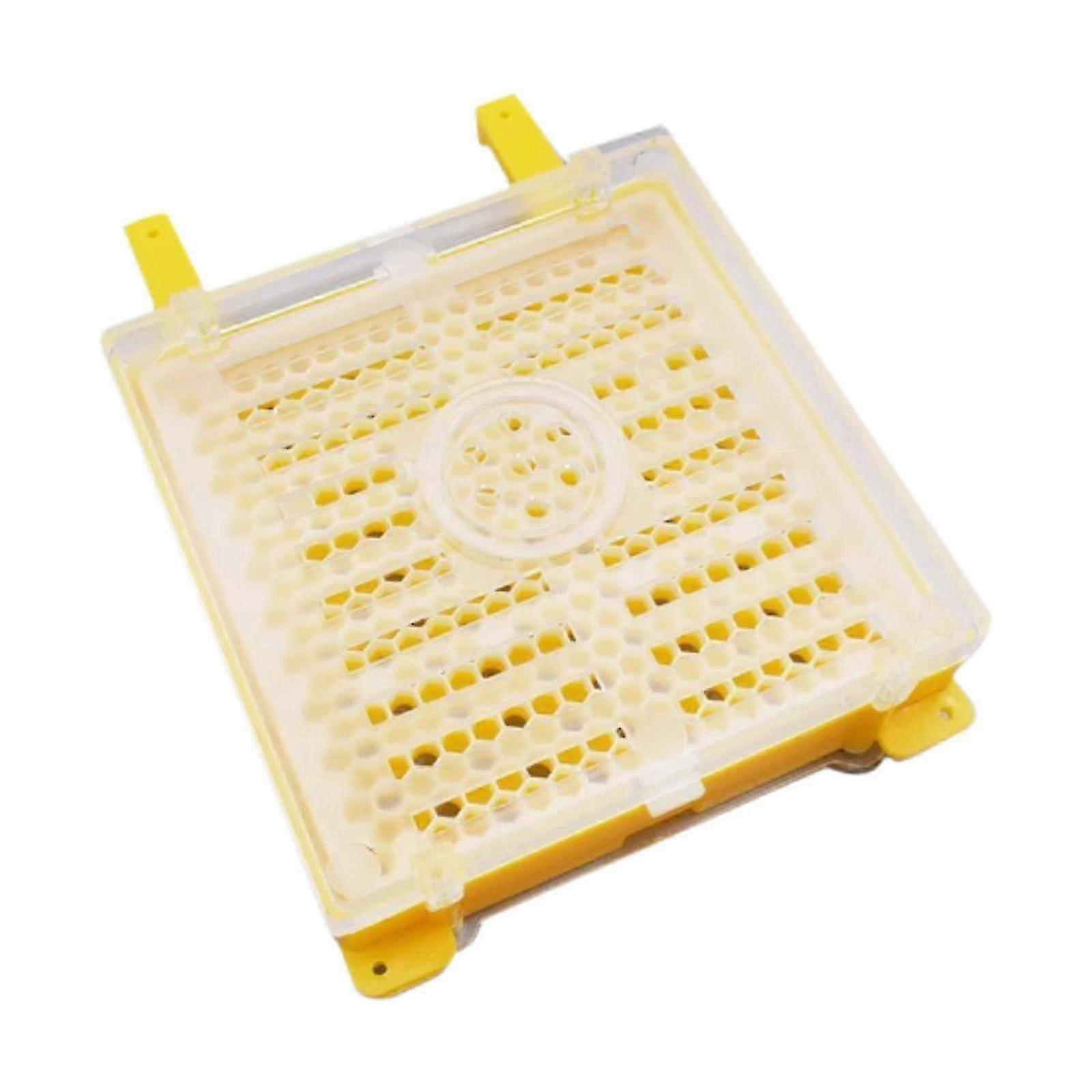 Beekeeping Grafting Set Beekeeping Tools Easy Use Cell Cups Efficient Yellow z