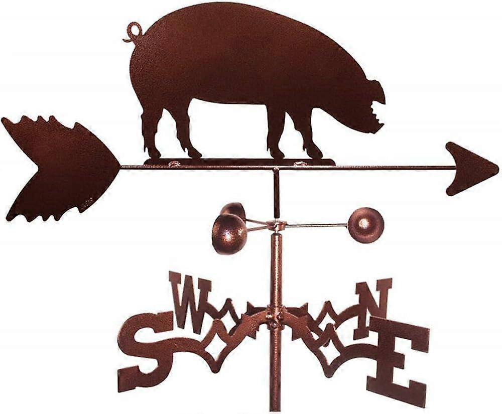 Weather Vane with Wind Direction Indicator, Weatherproof Metal Garden Decor, Dual Mount Bracket