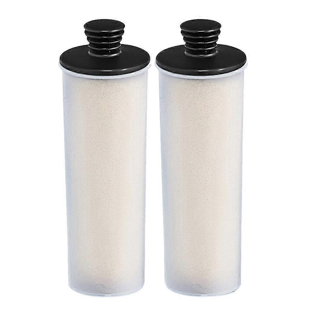 2pcs Cleaner Descaling Stick For Sc3 Series 3 Easyfix/sc3mx/sc3 127v Br Descaling Filter-yujia-YuJia