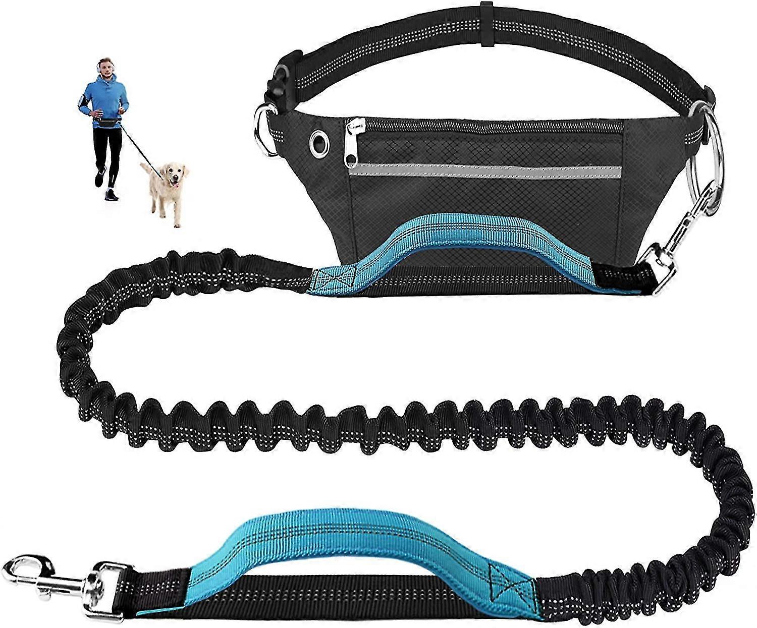 For Running, Jogging, Hiking, Retractable Bungee Dog Leash,blue