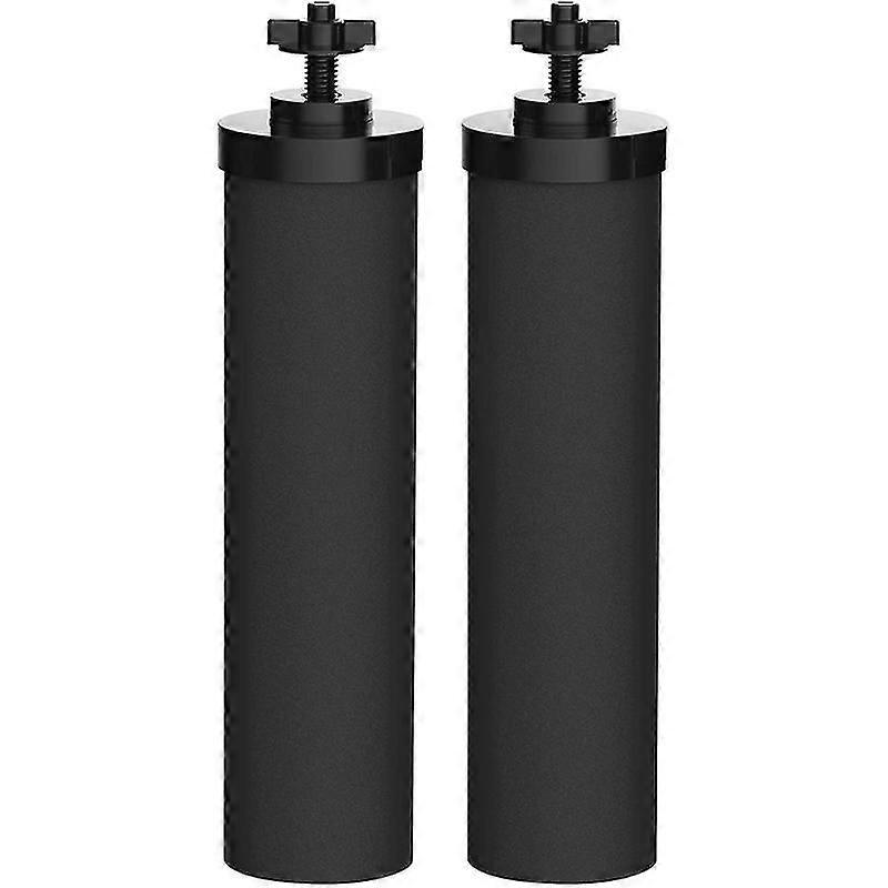 2 replacement filters for gravity water filtration systems, black