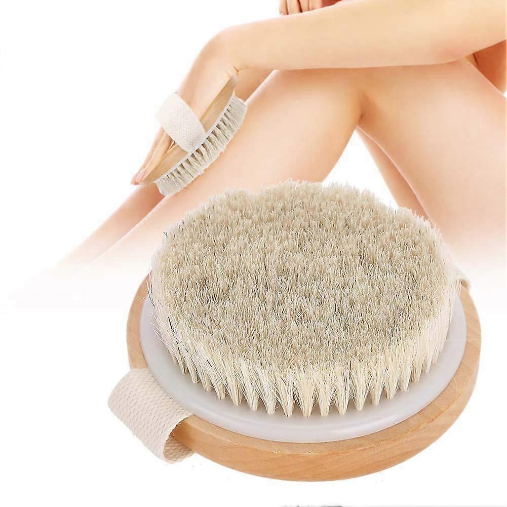 Soft Bath Shower Brush for Wet and Dry Use, Long Handle, Soft Bristles, Ideal for Exfoliation and Body Cleansing
