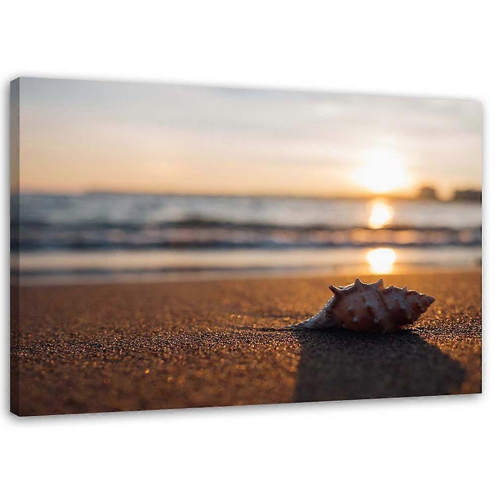 Fotobehang, Schelp op het strand - 100x70