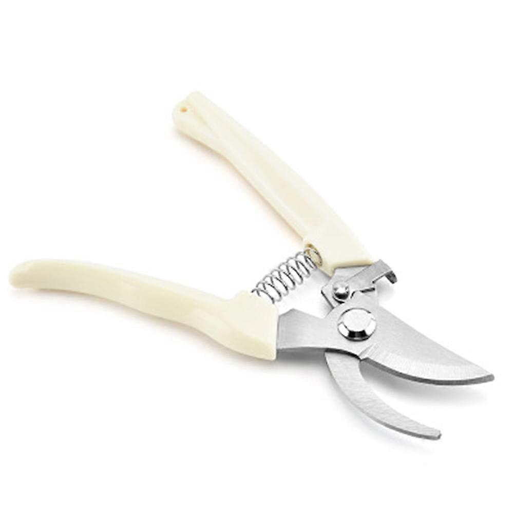Planting, horticultural pruning shears, pruning shears, shrub, garden shears, branch shears, orchard pruning shears, garden tools, scissors
