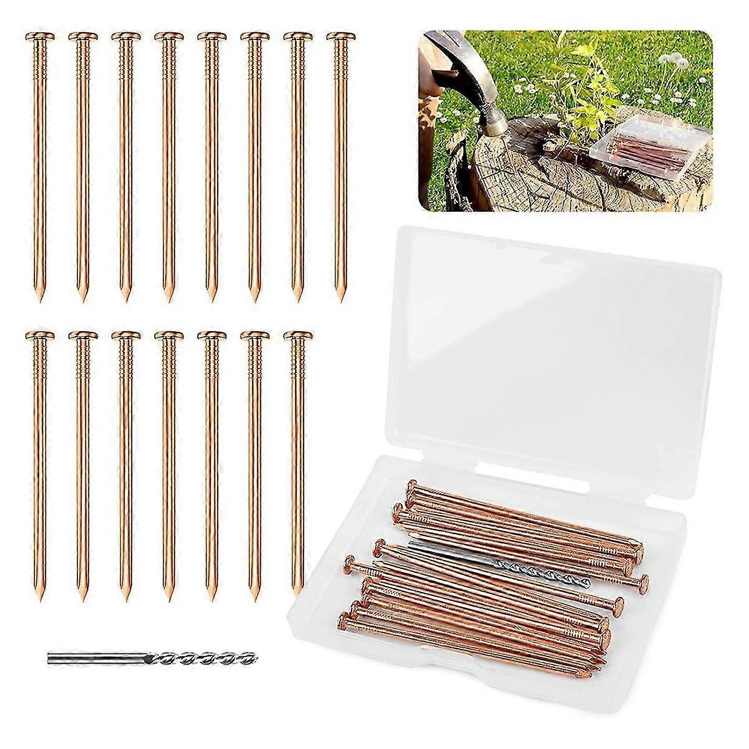 25 Pieces Copper Nails for Killing Tree Stump Roots