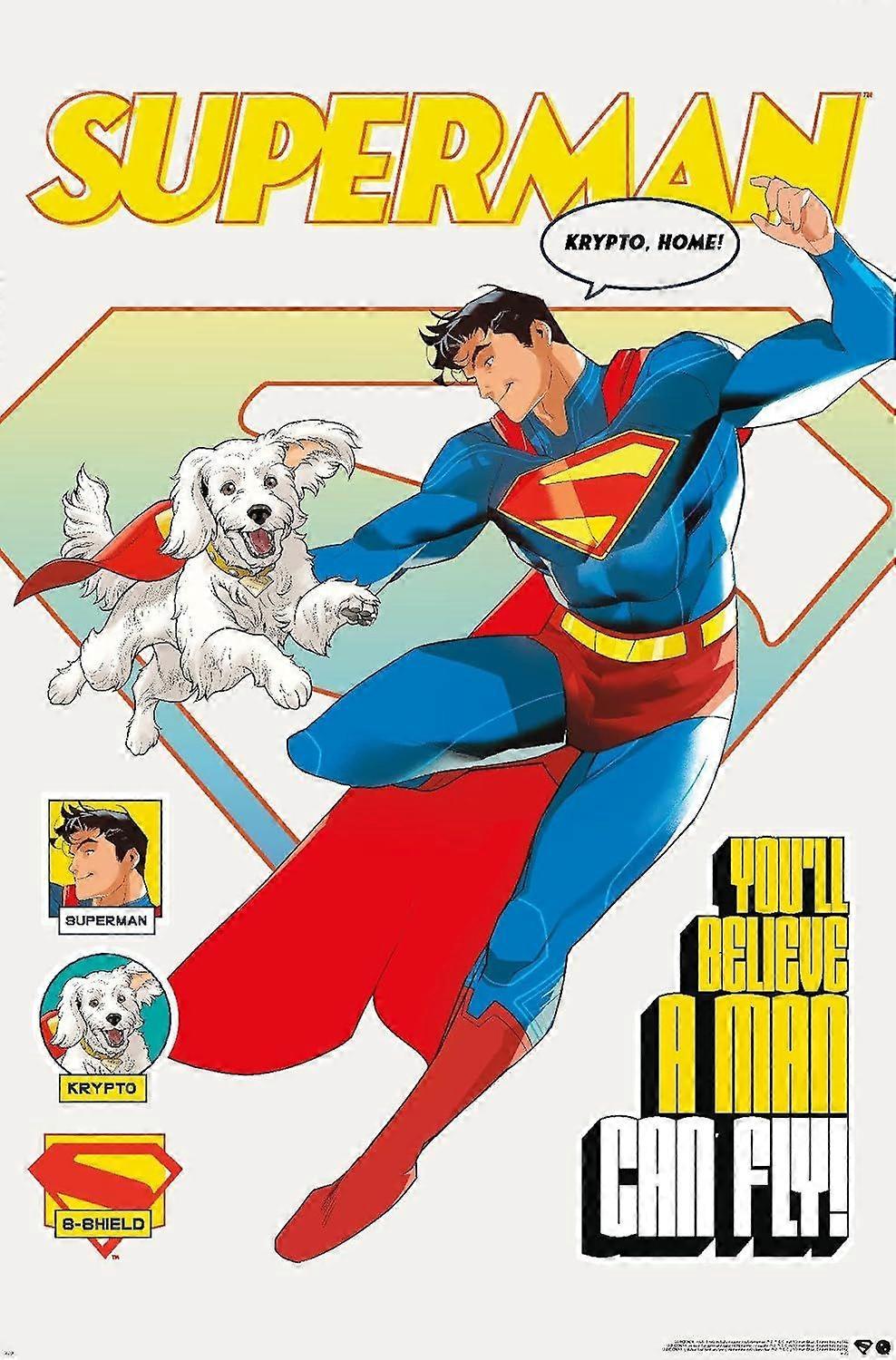 Studios Superman (2025) Puzzle-Knobelspiel L0059