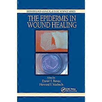 Die Epidermis in der Wundheilung