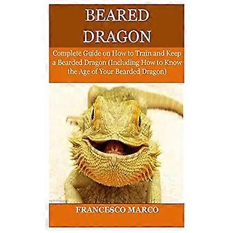Drago barbuto: guida completa su come addestrare e mantenere un drago barbuto (incluso come conoscere l'età del tuo drago barbuto)