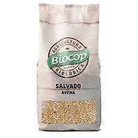Organic Oat Bran 500 g