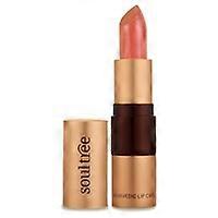 Cantaloupe Lipstick 1 unit