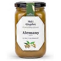 Honey with ginger 500 g