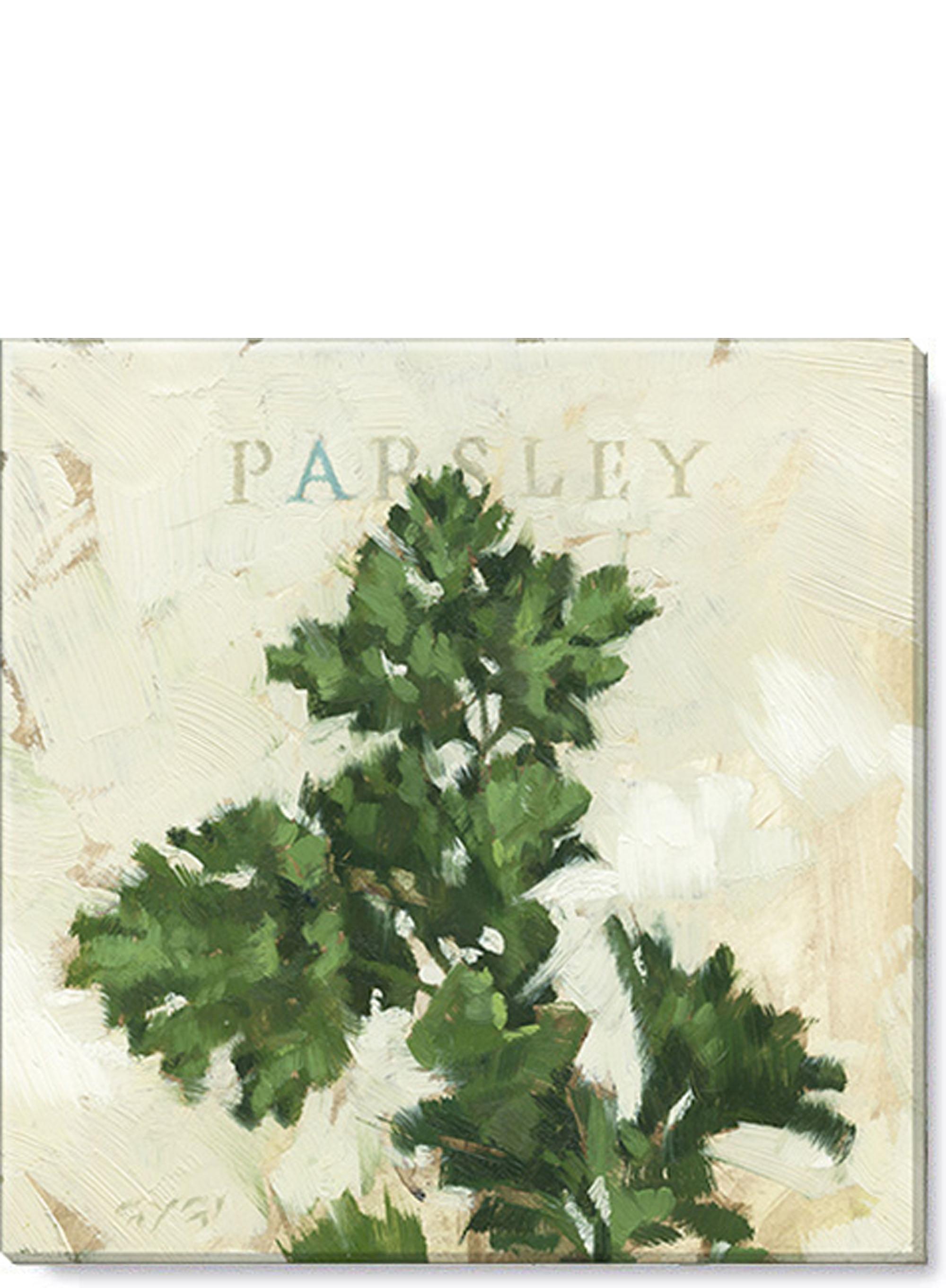 Parsley Canvas, Museum Quality Giclee Print, Gall-yezhibbb992