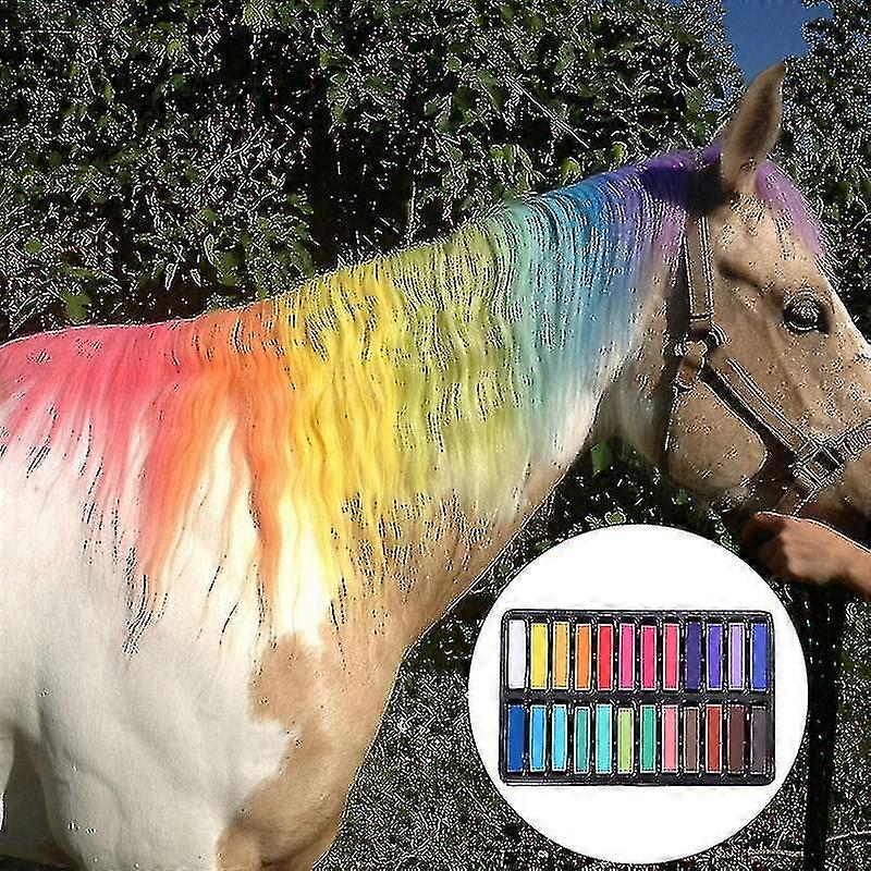 6/12/24/36 Farbe Ungiftige Pferdehaarkreide Temporäre Farbfarbe Styling Kit