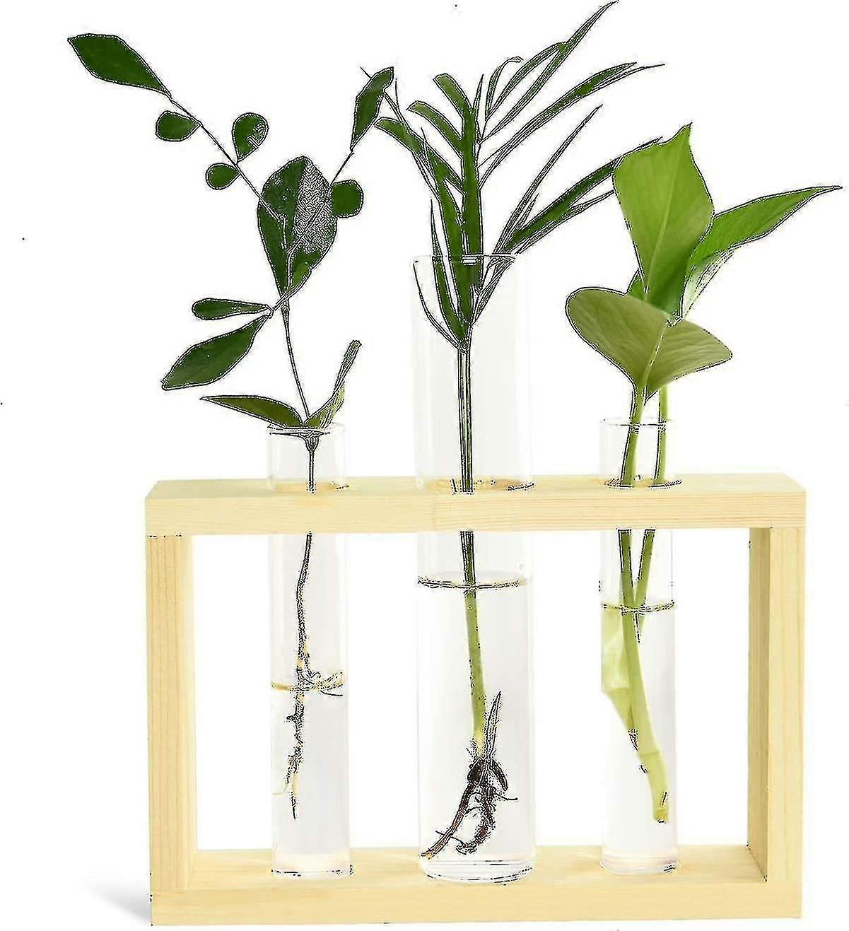 Sadzarka probówki Stacja propagacji roślin Szklana probówka terrarium