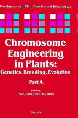 Chromosome Engineering in Plants
