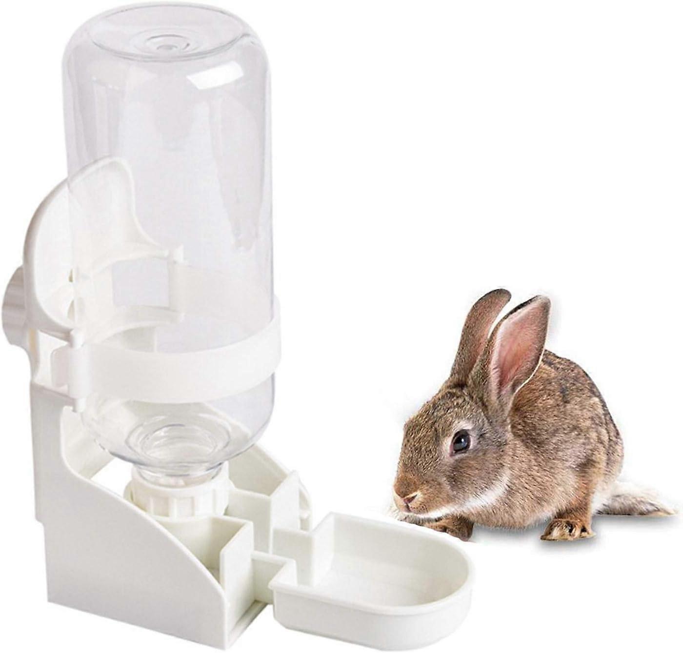 Rabbit, Water Bottle, Hanging, Dispenser