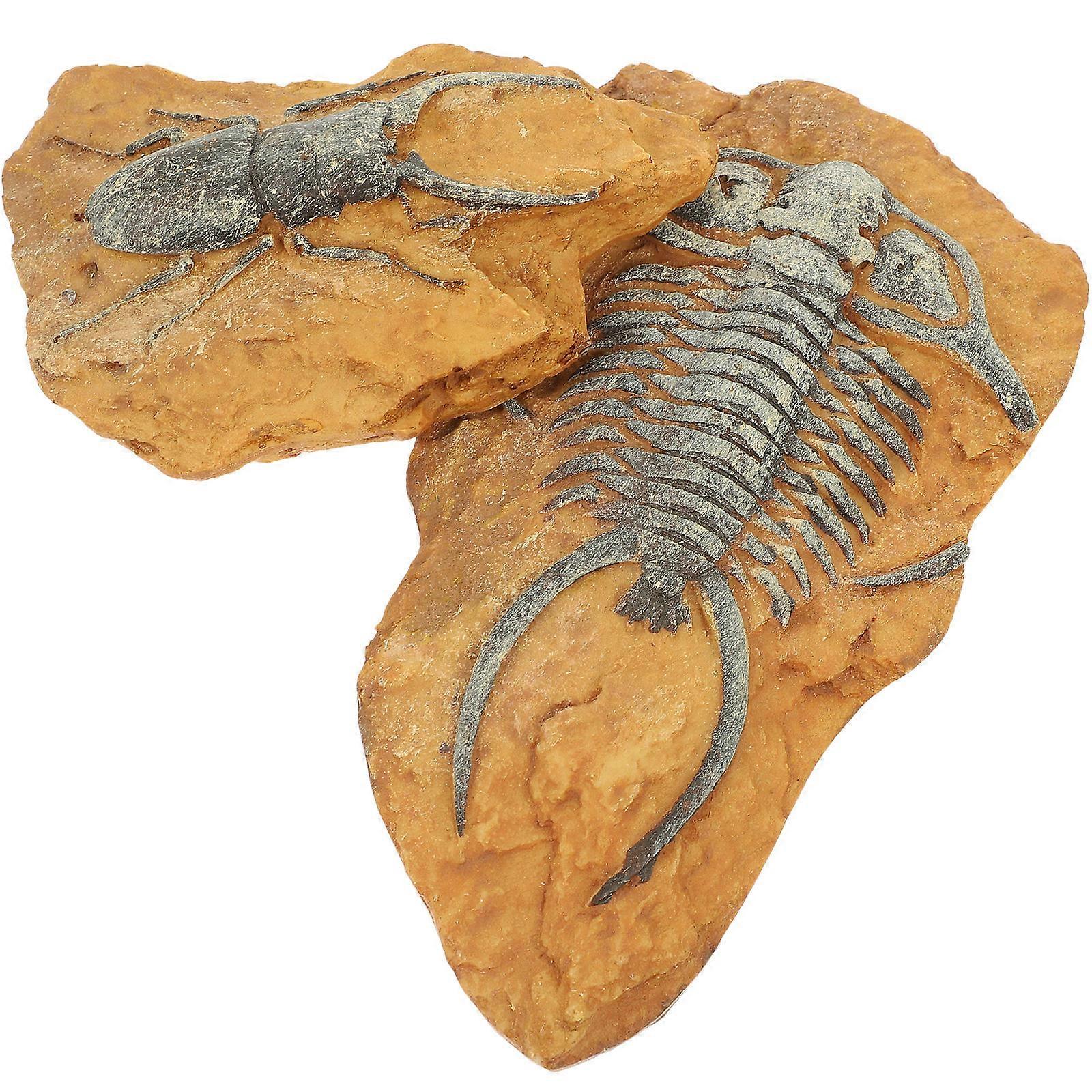 Simulation Fossil Trilobite Decor for Reptile Terrariums – Natural Resin Crawling Landscape Accents for Home and Pet Enclosures