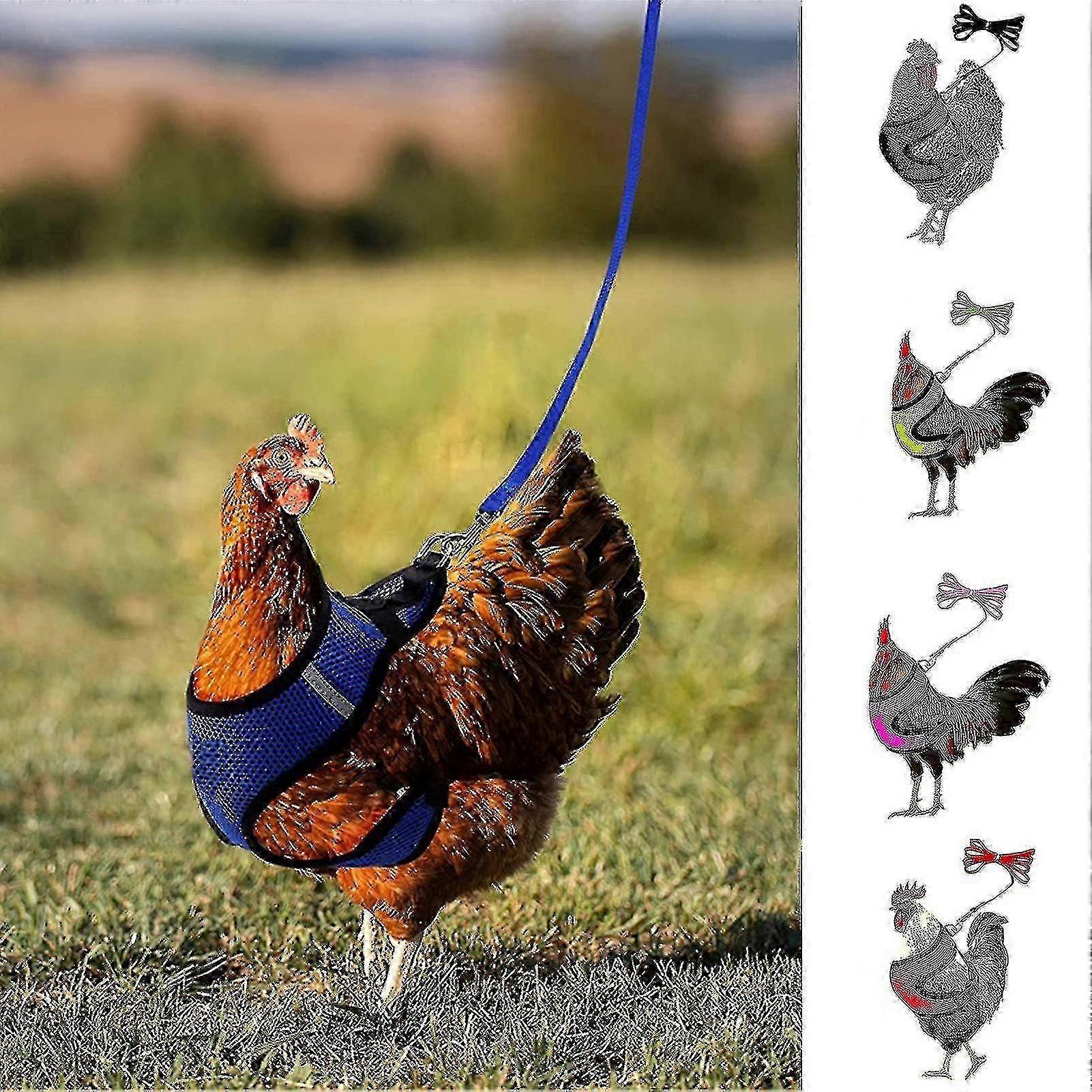 裏庭のためのひも付き1セットチキンハーネス通気性調節可能なチキンダック家禽ベスト
