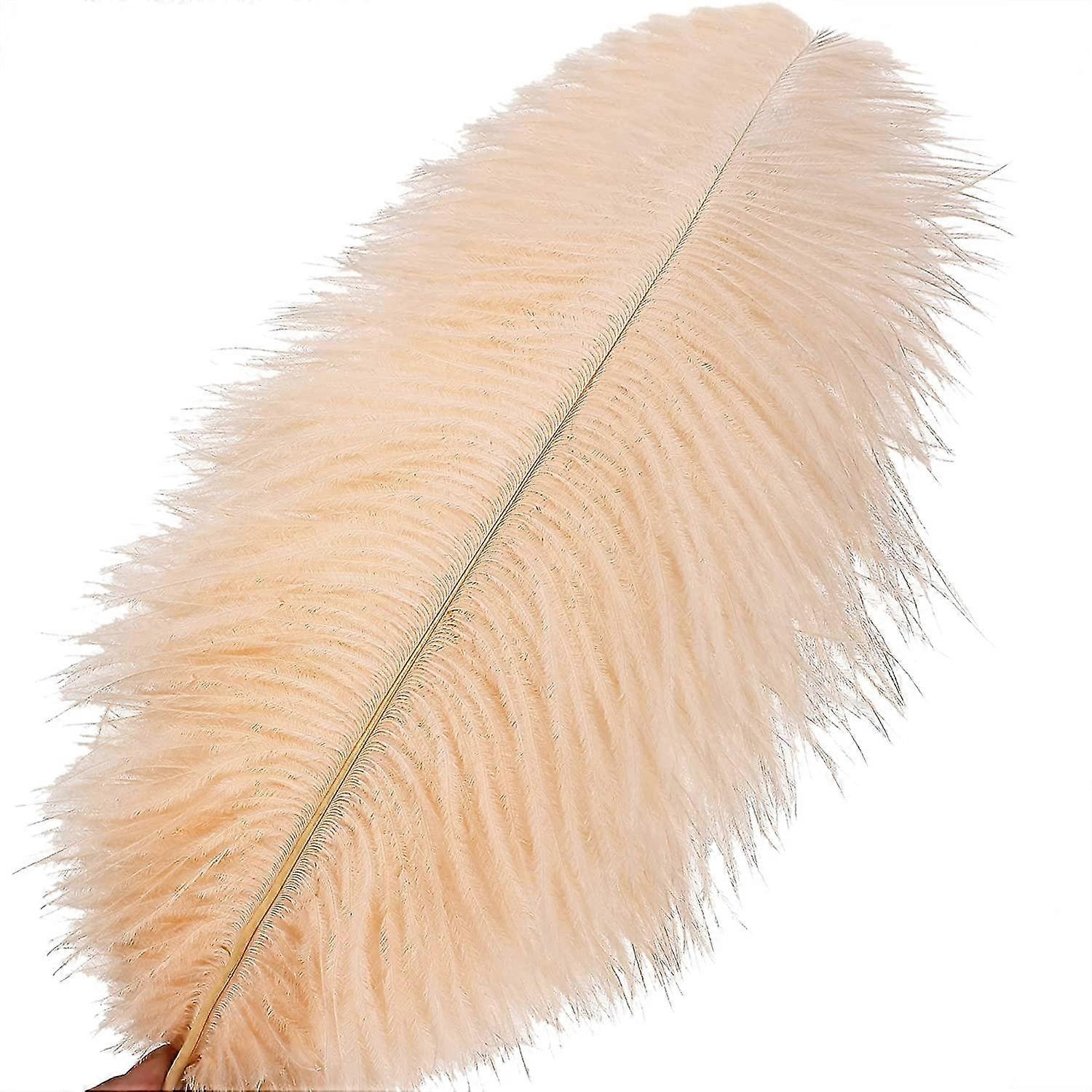 50pcs Ostrich Feathers For Decorations 26s