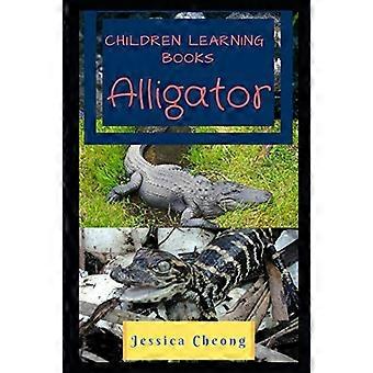 Barn som lærer bøker-Alligator