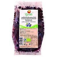 Freeze Dried Cranberry 40 g