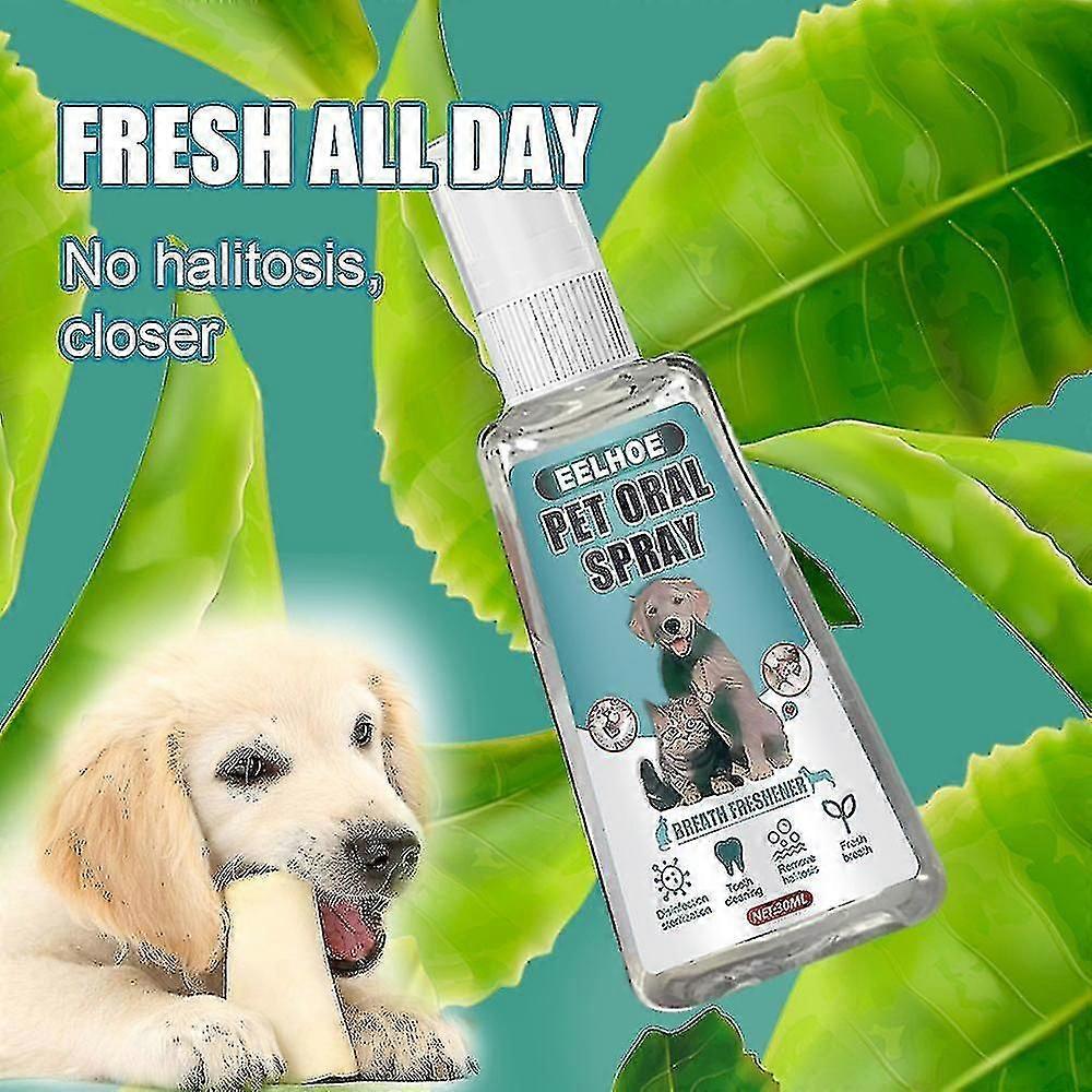 Eelhoe Pet Pes Pet Cat