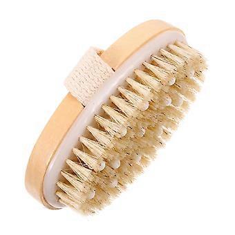 Dual Function Exfoliating Bath Brush with Long Handle for Shower, Back and Scalp Cleansing Massage