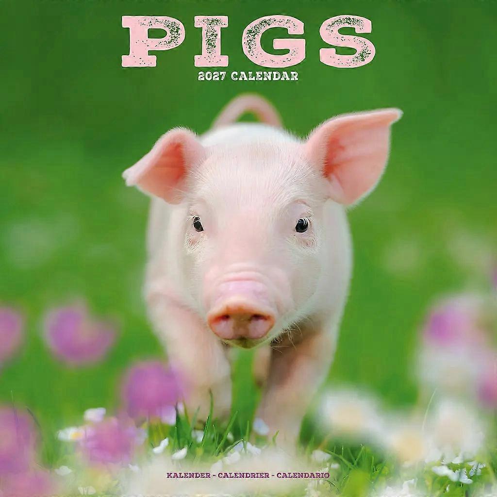 Avonside Pig Calendar 2026