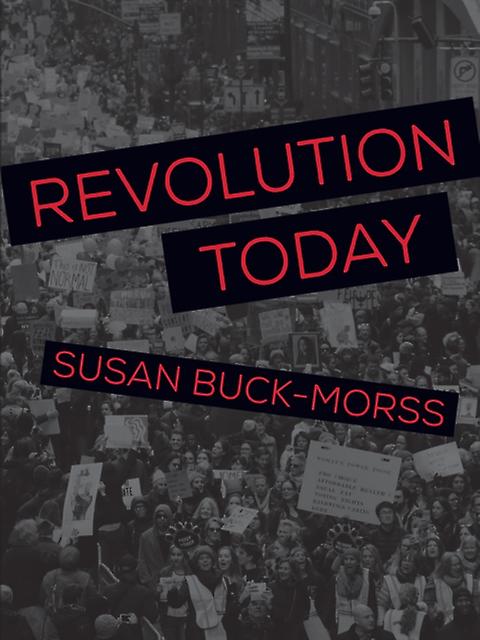 Revolution Today by Susan BuckMorss Paperback